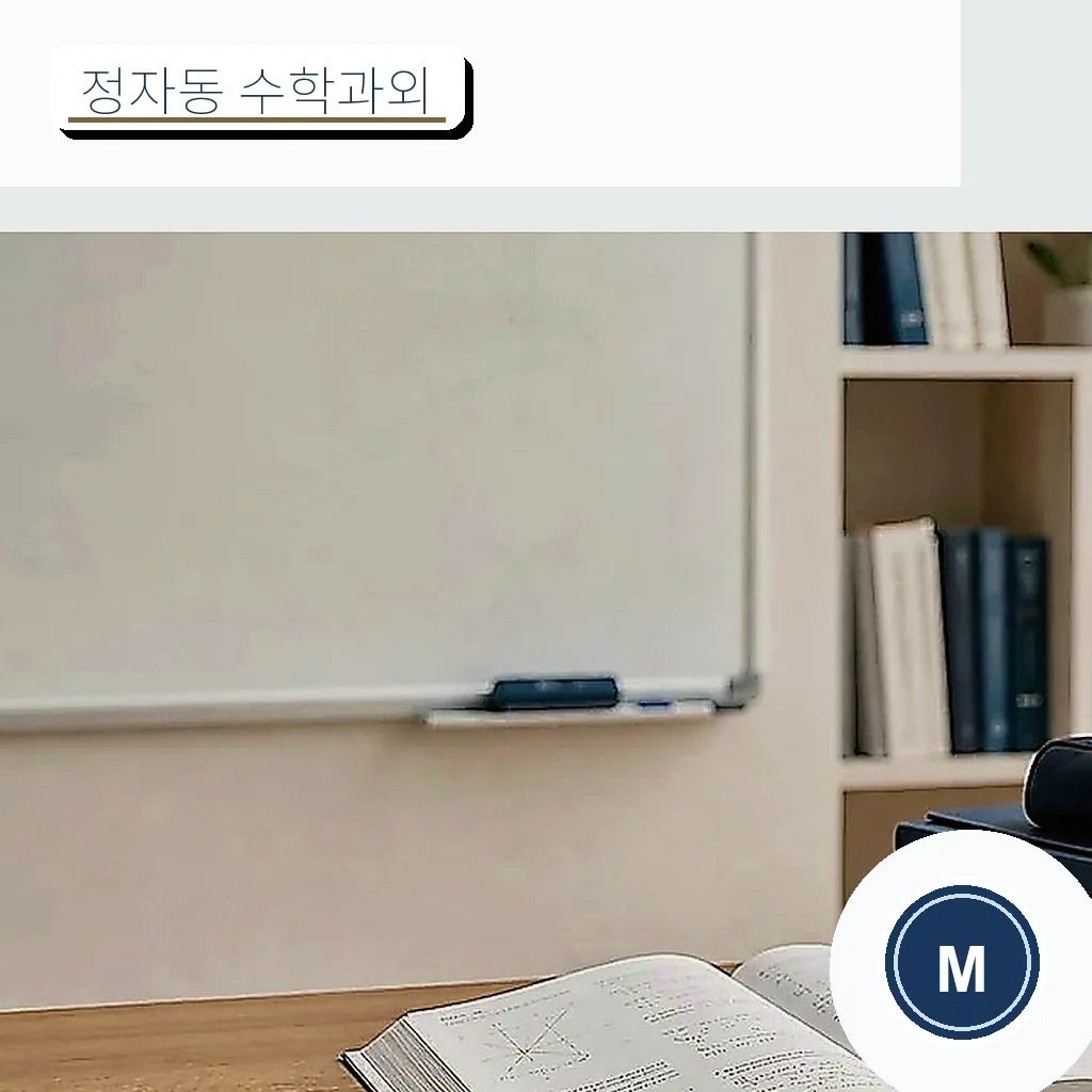 경기 성남시 분당구 정자동 수학과외 학습 가이드 스터디멘토